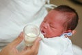 Mother feeding milk infant baby by glass cup Royalty Free Stock Photo