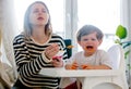 Mother feeding a toddler boy with a spoon and dog looking on it Royalty Free Stock Photo