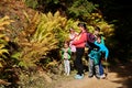Mother with four kids in mountains forest near the fern. Family travel and hiking with childrens