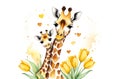 mother giraffe with her baby in yellow tulips Royalty Free Stock Photo