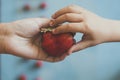 Mother giving her son a big red strawberry. Little boy taking a strawberry from mom`s hand. Little strawberries on bright blue Royalty Free Stock Photo