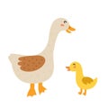 Mother goose with her baby gosling. Cute farm animal characters mom and her child