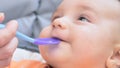 Mother hand feeding baby with spoon, boy sitting eating food on chair at home. Happy family. Smiling happy child. Royalty Free Stock Photo