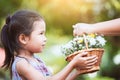 Mother hand giving basket of beautiful flowers to child Royalty Free Stock Photo