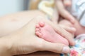 Mother hand holding close-up of tiny baby feet Royalty Free Stock Photo