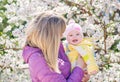Mother hands throws up child in the blooming apple trees Royalty Free Stock Photo
