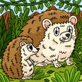 Mother Hedgehog and Hoglet Colored Cartoon Royalty Free Stock Photo