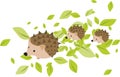 Mother hedgehog with two hadgehog babies