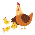 Mother hen with her baby chicks. Cute farm animal characters mom and her child Royalty Free Stock Photo