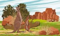 A mother and her cub of Australian big red kangaroo in the meadow near the red rocks and bushes.