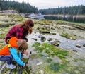 A mother and her daughter exploring the tidal pools and shores of the gulf islands of british columbia, Canada. Royalty Free Stock Photo