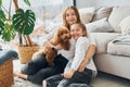 Mother with her daughter playing with dog. Cute little poodle puppy is indoors in the modern domestic room Royalty Free Stock Photo