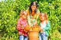 Mother and her Daughters picking clementines