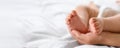 Mother holding feet of her baby on bed, space for text. Banner design Royalty Free Stock Photo