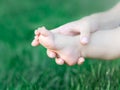 Mother holding feet of newborn baby on green grass background. The concept of maternal tenderness, caring and health. Royalty Free Stock Photo