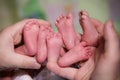 A mother is holding in the hands feet of newborn triplet babies Royalty Free Stock Photo