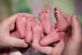 The mother is holding in the hands feet of newborn triplets baby. Royalty Free Stock Photo