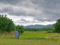 A mother holding her little daughter`s hand and helping her get over a paddy-field ridge in a countryside Royalty Free Stock Photo