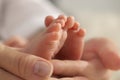 Mother holding her newborn baby, closeup view on feet. Lovely family Royalty Free Stock Photo