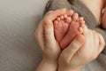 Mother holds newborn baby`s bare heels on gray background. Tiny feet in woman`s hand.  Family and home concept. Royalty Free Stock Photo