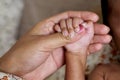 Mother holds newborn babys hand