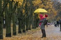 Mother holds a small child in her arms while standing under a yellow umbrella in an autumn park against a background of yellow Royalty Free Stock Photo