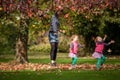 Mother and identical twins having fun with autumn leaves in the park, blond cute curly girls, happy kids, girls in pink jacket Royalty Free Stock Photo