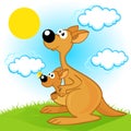 Mother kangaroo with baby Royalty Free Stock Photo