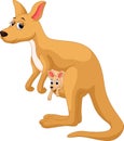 Mother kangaroo with her baby Royalty Free Stock Photo