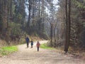 Mother with kids hiking in forest Royalty Free Stock Photo