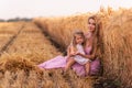 Mother and little daughter have fun sitting by the golden wheat field. Young woman tickles the girl Royalty Free Stock Photo