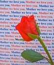 Mother we love you message with rose. Royalty Free Stock Photo