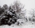 White winter wonderland, blanketed in snow Royalty Free Stock Photo