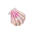 Mother of pearl with pink sea shell scallop Royalty Free Stock Photo