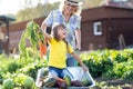 Mother playing with kid in garden in village Royalty Free Stock Photo