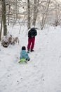 Mother pulling snow sledge