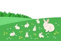 Mother rabbit with cute little bunnies in flower meadow flat cartoon illustration Royalty Free Stock Photo