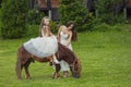 mother rides her daughter on a pony Royalty Free Stock Photo