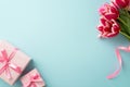 Top view photo of bunch of pink tulips and pink gift boxes with ribbon bows on isolated pastel blue background with Royalty Free Stock Photo