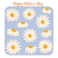 Mother's day card with cute chamomile flowers. Botanical vector isolated illustration for postcard, poster, ad Royalty Free Stock Photo