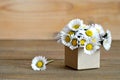Mother's Day card: Daisy flowers arranged in gift box