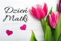 Mother`s day card with Polish words: Dzien Matki - Mother`s Day
