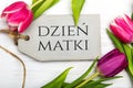 Mother`s day card with Polish words: Dzien Matki - Mother`s Day Royalty Free Stock Photo