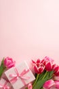 Top view vertical photo of fresh tulips and pink gift boxes with ribbon bows on isolated pastel pink background Royalty Free Stock Photo
