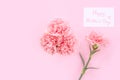 Mother`s Day design concept - Pink carnations on a pale pink background with gratitude greeting card and words, top view, flat la