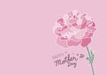 Mother`s day design and pink carnation flower on pink background