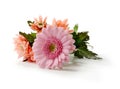 Mother's Day Flowers Royalty Free Stock Photo