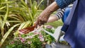 Mother`s Day , Senior woman and daughter relax with gardening in backyard