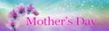 Mother`s Day Special Pink Orchid banner
