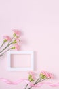 Mother`s Day, Valentine`s Day background design concept, beautiful pink carnation flower bouquet on pastel pink table, top view, Royalty Free Stock Photo